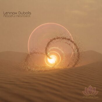VLM019
